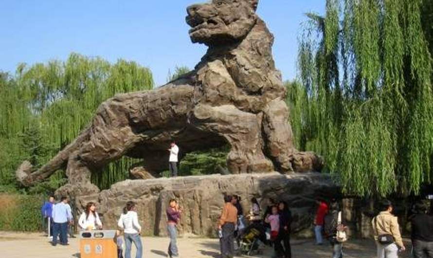 10 Most Fascinating Zoos in the World