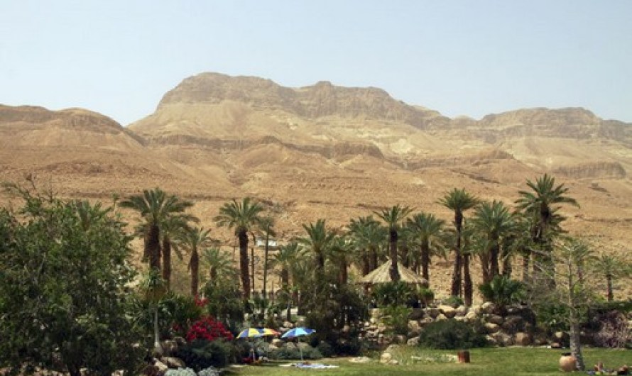 Ein Gedi, Israel