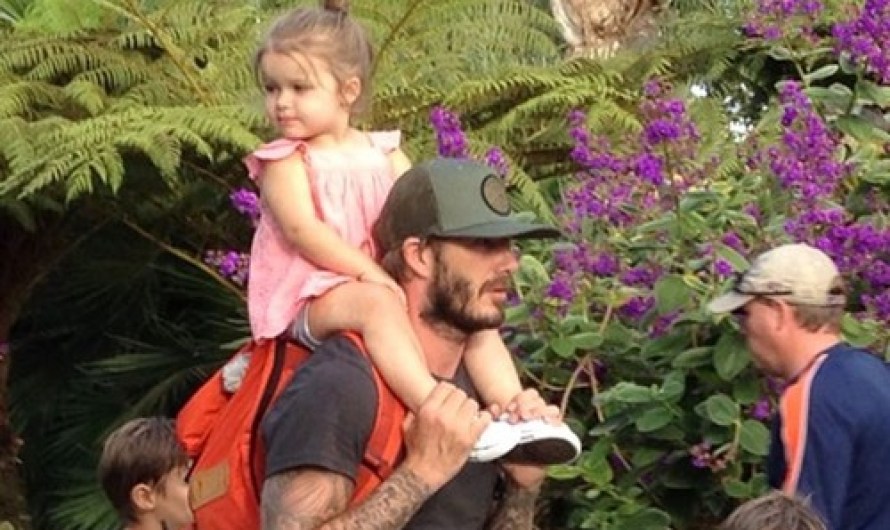 Harper Seven Beckham