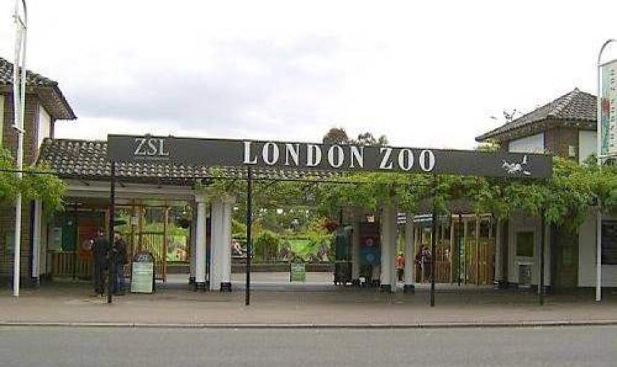 10 Most Fascinating Zoos in the World