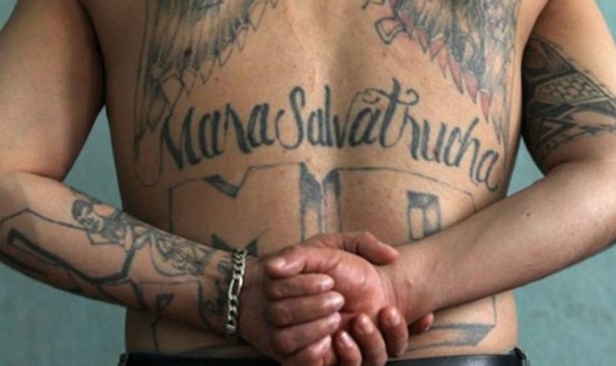 Mara Salvatrucha (MS-13)