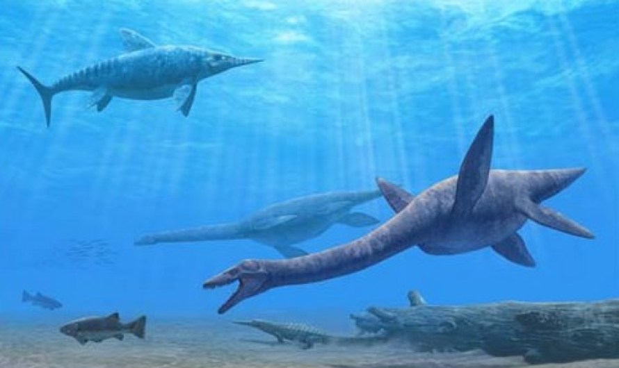 Marine Myths About Dinosaurs