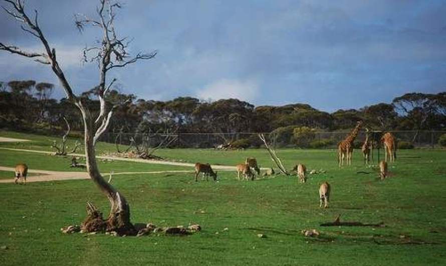 10 Most Fascinating Zoos in the World