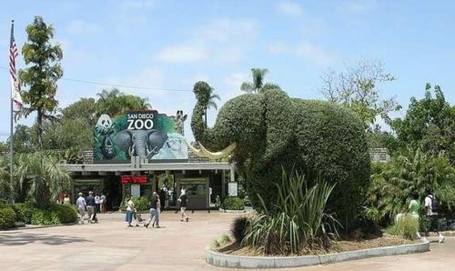 10 Most Fascinating Zoos in the World