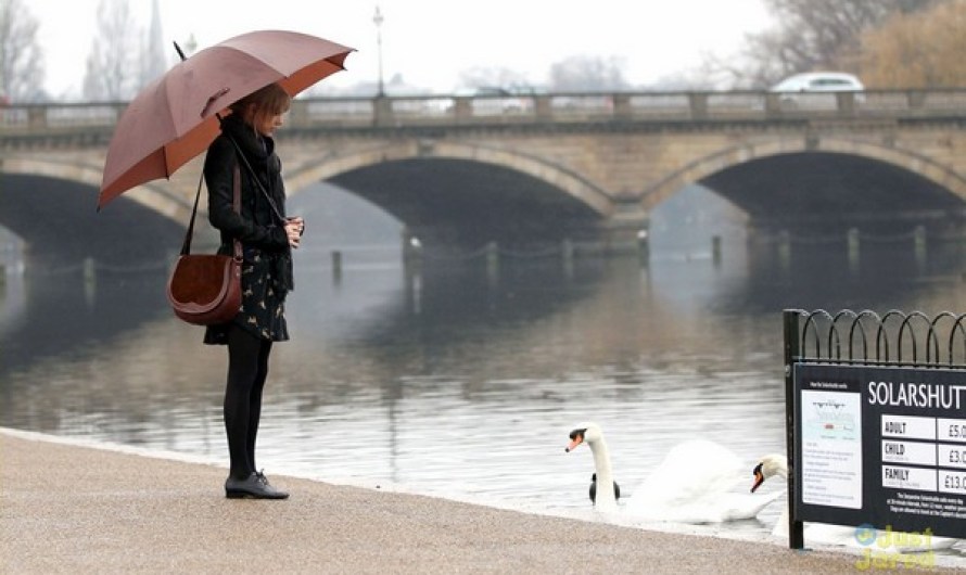 Most Magnificent Photos From British Royal Palaces 