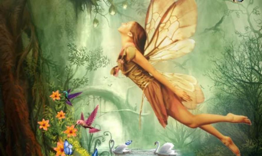 fairies in irish myth